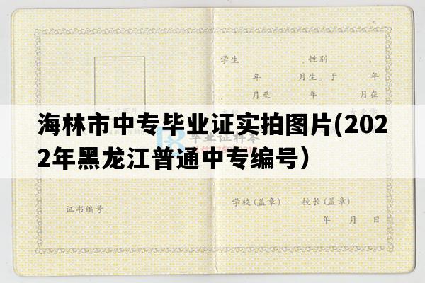 海林市中专毕业证实拍图片(2022年黑龙江普通中专编号）