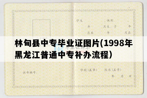 林甸县中专毕业证图片(1998年黑龙江普通中专补办流程）