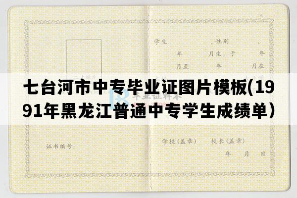 七台河市中专毕业证图片模板(1991年黑龙江普通中专学生成绩单）