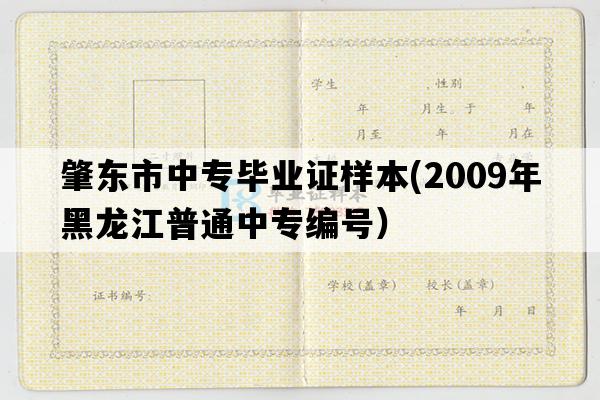 肇东市中专毕业证样本(2009年黑龙江普通中专编号）