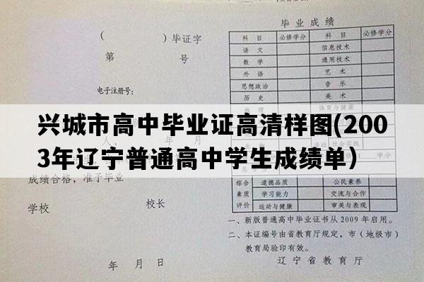 兴城市高中毕业证高清样图(2003年辽宁普通高中学生成绩单）