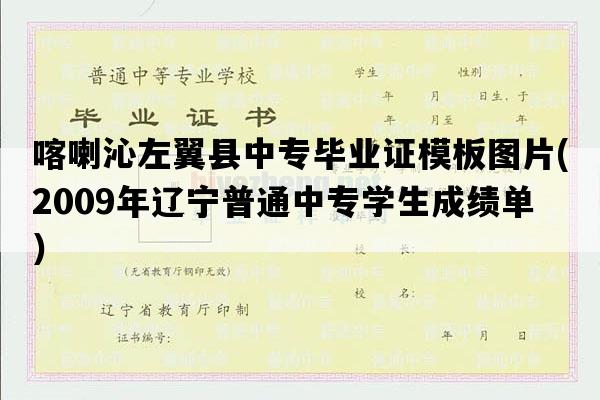 喀喇沁左翼县中专毕业证模板图片(2009年辽宁普通中专学生成绩单）