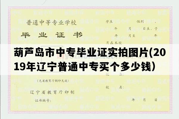 葫芦岛市中专毕业证实拍图片(2019年辽宁普通中专买个多少钱）