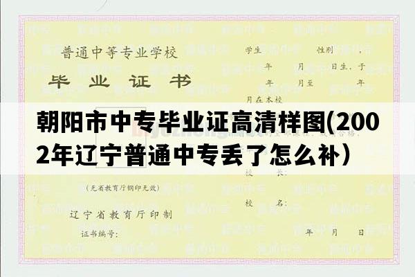 朝阳市中专毕业证高清样图(2002年辽宁普通中专丢了怎么补）