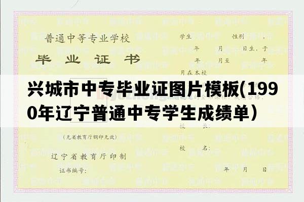 兴城市中专毕业证图片模板(1990年辽宁普通中专学生成绩单）