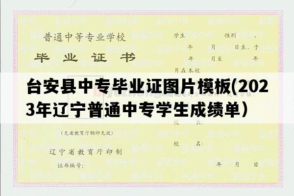 台安县中专毕业证图片模板(2023年辽宁普通中专学生成绩单）