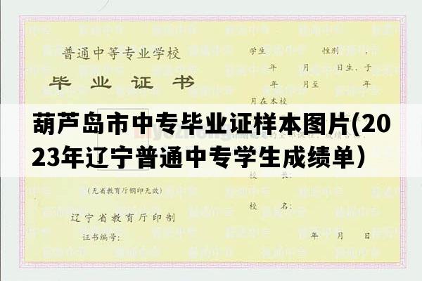 葫芦岛市中专毕业证样本图片(2023年辽宁普通中专学生成绩单）