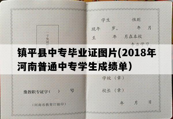 镇平县中专毕业证图片(2018年河南普通中专学生成绩单）