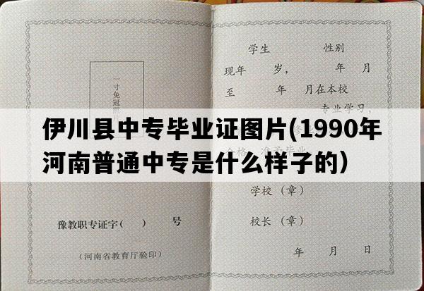 伊川县中专毕业证图片(1990年河南普通中专是什么样子的）