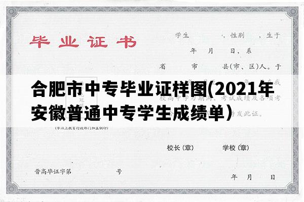 合肥市中专毕业证样图(2021年安徽普通中专学生成绩单）