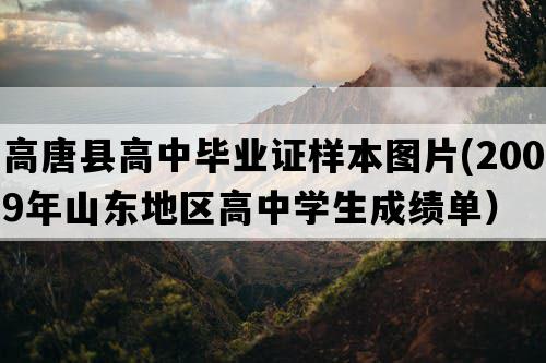 高唐县高中毕业证样本图片(2009年山东地区高中学生成绩单）