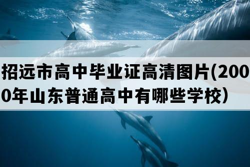 招远市高中毕业证高清图片(2000年山东普通高中有哪些学校）