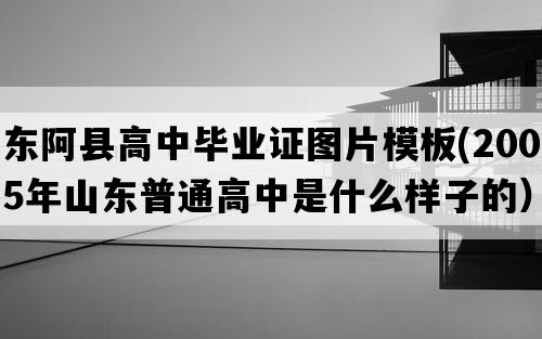 东阿县高中毕业证图片模板(2005年山东普通高中是什么样子的）