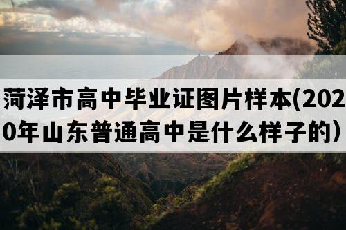 菏泽市高中毕业证图片样本(2020年山东普通高中是什么样子的）