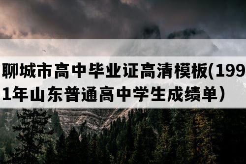 聊城市高中毕业证高清模板(1991年山东普通高中学生成绩单）