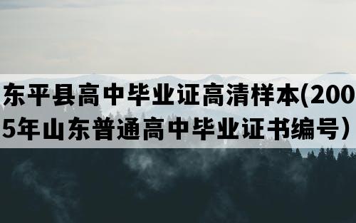 东平县高中毕业证高清样本(2005年山东普通高中毕业证书编号）