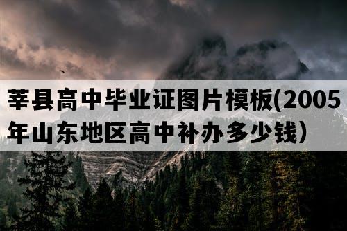 莘县高中毕业证图片模板(2005年山东地区高中补办多少钱）