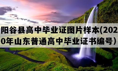 阳谷县高中毕业证图片样本(2020年山东普通高中毕业证书编号）