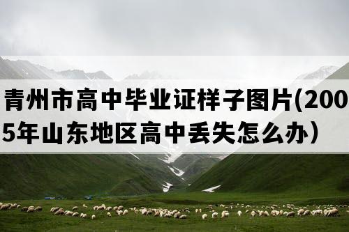 青州市高中毕业证样子图片(2005年山东地区高中丢失怎么办）