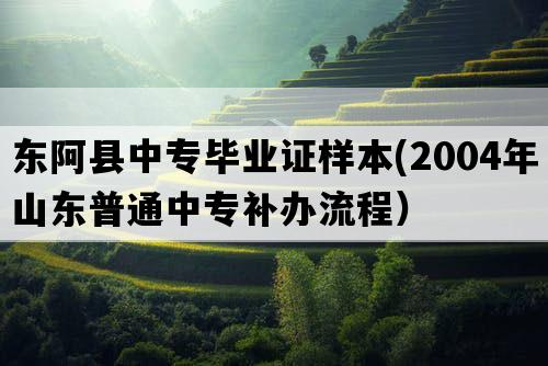 东阿县中专毕业证样本(2004年山东普通中专补办流程）