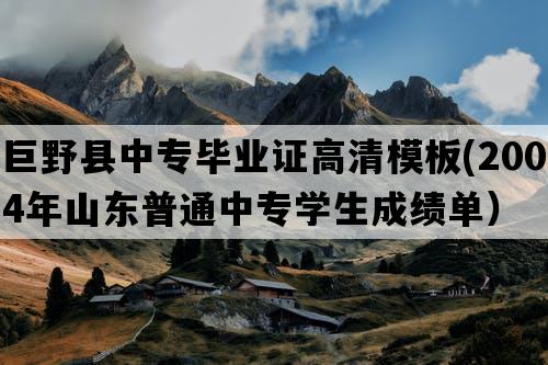 巨野县中专毕业证高清模板(2004年山东普通中专学生成绩单）