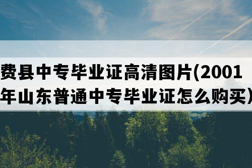 费县中专毕业证高清图片(2001年山东普通中专毕业证怎么购买）