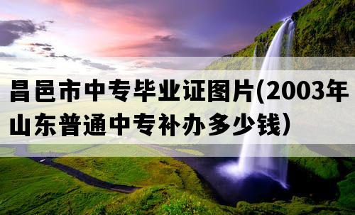 昌邑市中专毕业证图片(2003年山东普通中专补办多少钱）