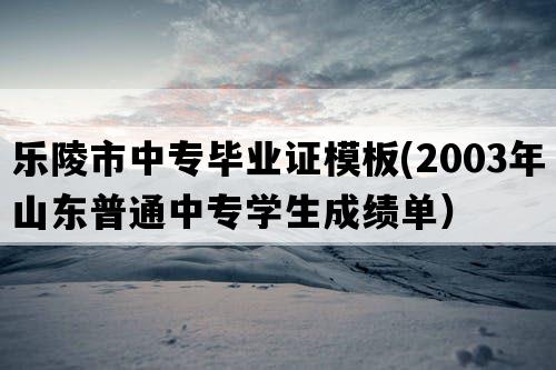 乐陵市中专毕业证模板(2003年山东普通中专学生成绩单）