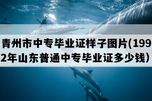 青州市中专毕业证样子图片(1992年山东普通中专毕业证多少钱）