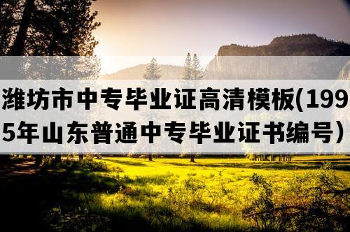 潍坊市中专毕业证高清模板(1995年山东普通中专毕业证书编号）