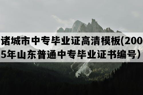 诸城市中专毕业证高清模板(2005年山东普通中专毕业证书编号）