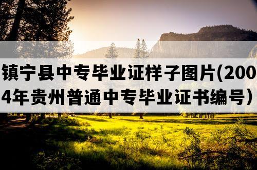 镇宁县中专毕业证样子图片(2004年贵州普通中专毕业证书编号）