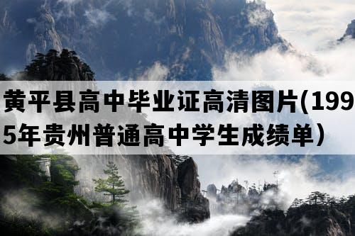 黄平县高中毕业证高清图片(1995年贵州普通高中学生成绩单）