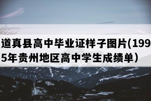 道真县高中毕业证样子图片(1995年贵州地区高中学生成绩单）