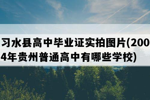 习水县高中毕业证实拍图片(2004年贵州普通高中有哪些学校)