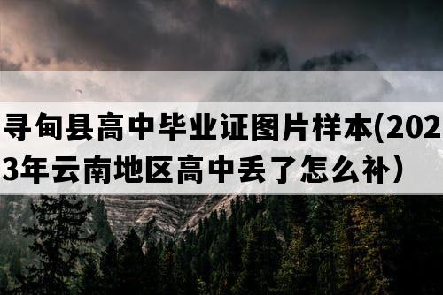 寻甸县高中毕业证图片样本(2023年云南地区高中丢了怎么补）