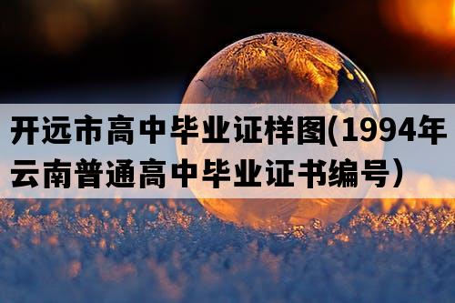 开远市高中毕业证样图(1994年云南普通高中毕业证书编号）