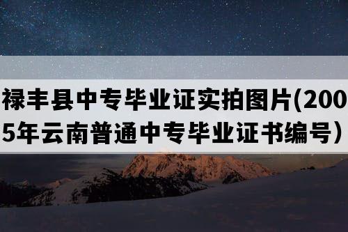 禄丰县中专毕业证实拍图片(2005年云南普通中专毕业证书编号）