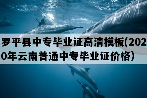 罗平县中专毕业证高清模板(2020年云南普通中专毕业证价格）