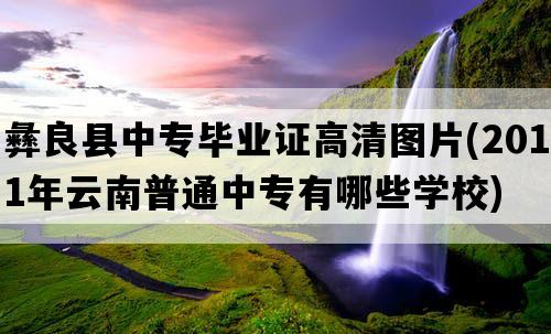 彝良县中专毕业证高清图片(2011年云南普通中专有哪些学校)