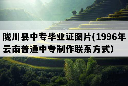 陇川县中专毕业证图片(1996年云南普通中专制作联系方式）