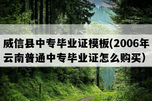 威信县中专毕业证模板(2006年云南普通中专毕业证怎么购买）