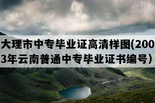 大理市中专毕业证高清样图(2003年云南普通中专毕业证书编号）