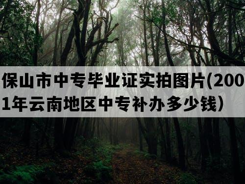 保山市中专毕业证实拍图片(2001年云南地区中专补办多少钱）