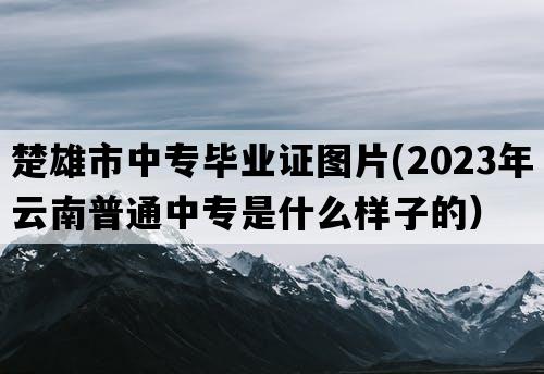 楚雄市中专毕业证图片(2023年云南普通中专是什么样子的）