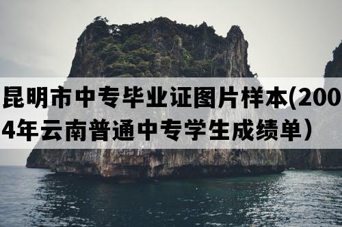 昆明市中专毕业证图片样本(2004年云南普通中专学生成绩单）