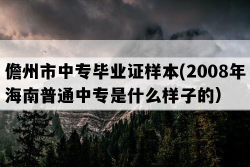 儋州市中专毕业证样本(2008年海南普通中专是什么样子的）