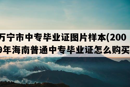 万宁市中专毕业证图片样本(2009年海南普通中专毕业证怎么购买）