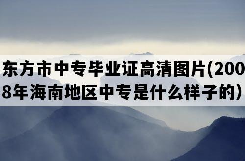 东方市中专毕业证高清图片(2008年海南地区中专是什么样子的）