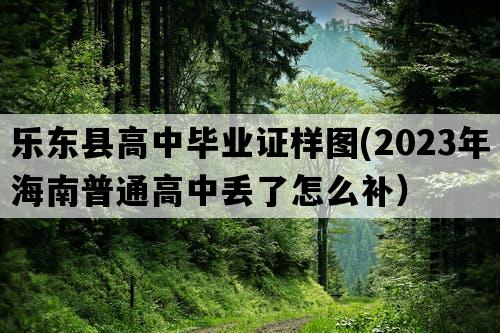 乐东县高中毕业证样图(2023年海南普通高中丢了怎么补）